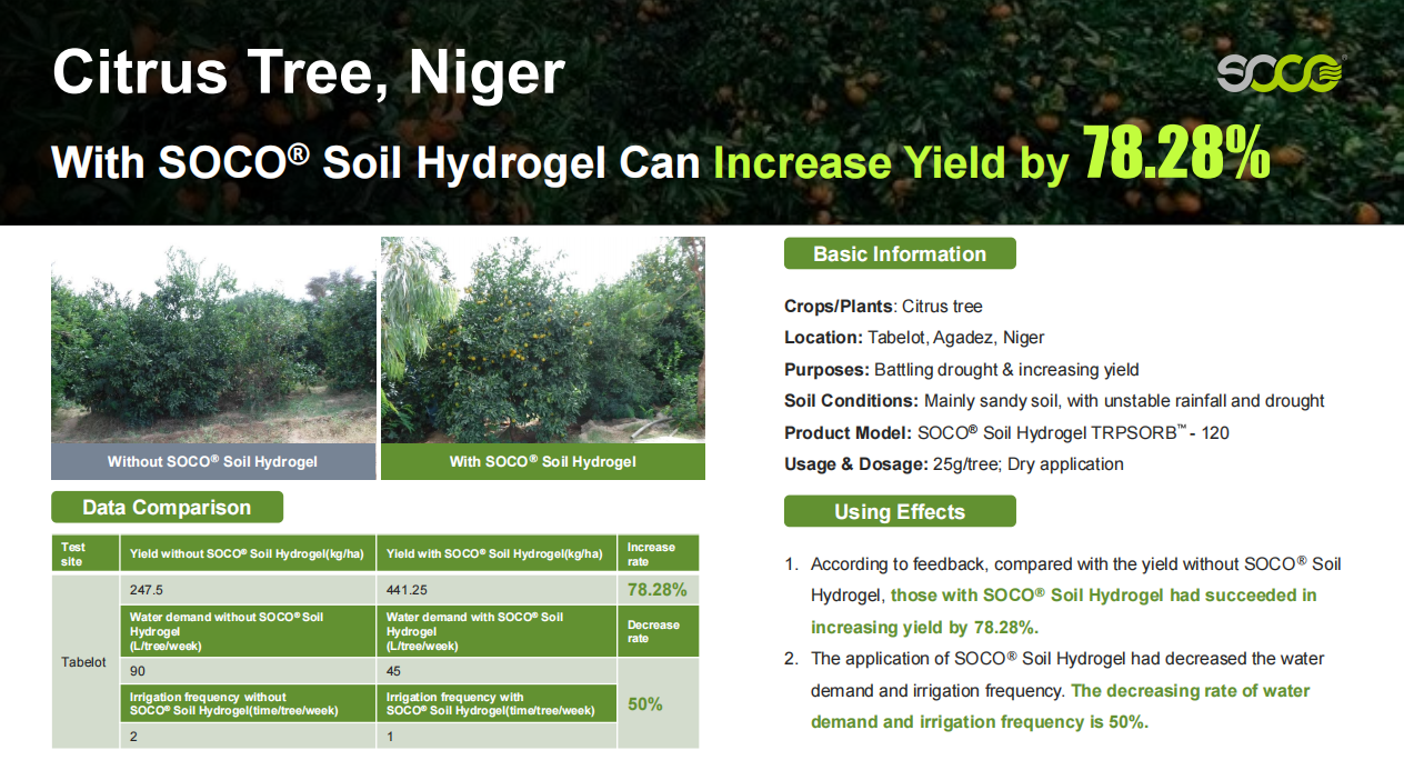 SOCO soil hydrogel boosts yield of citrus tree in Niger