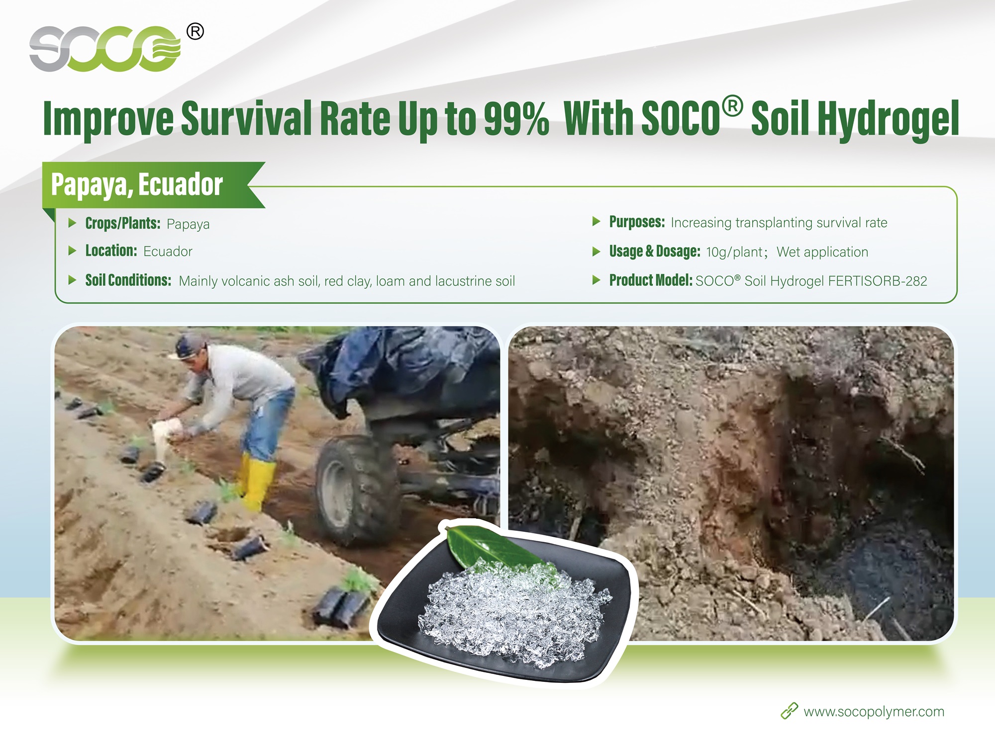 SOCO soil hydrogel improve survival rate