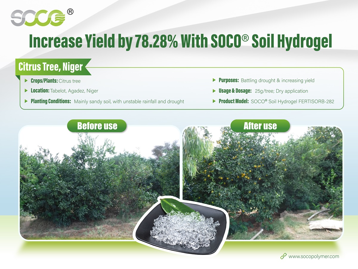 SOCO soil hydrogel increase yield
