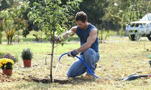 Water Retention Agent Special for Seedling Tranplanting