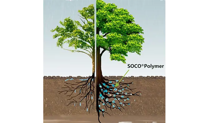 SOCO® Polymer Research & Development (R & D)