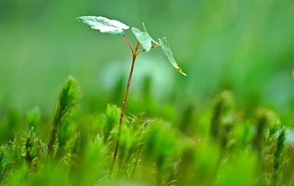 Embark on Your Growth Journey with SOCO® Now !