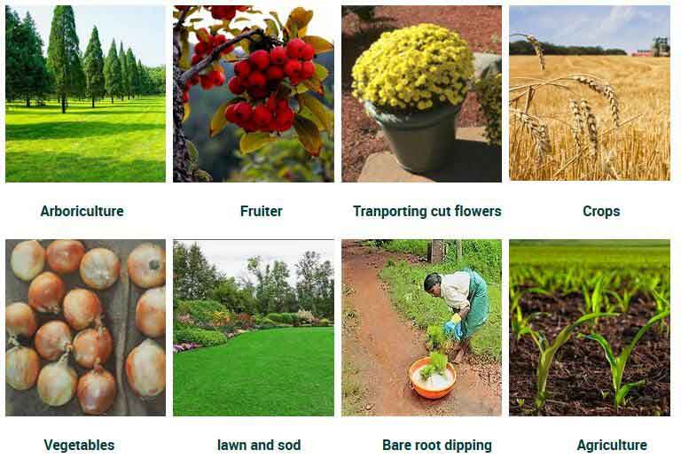 Types of Agriculture SAP