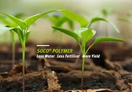 Study on the Interaction Mechanism of SAP and Fertilizer an Soil