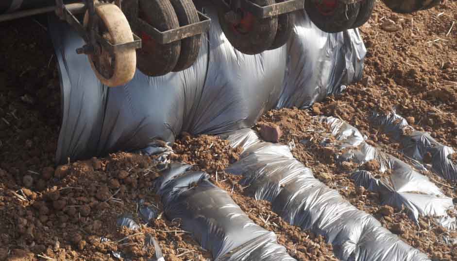 plastic mulch used in water retaining