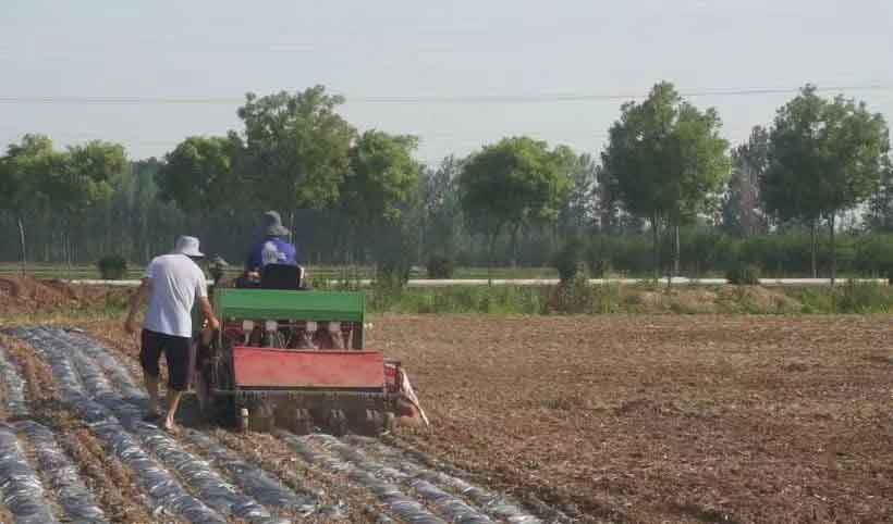 plastic mulch used in water retaining