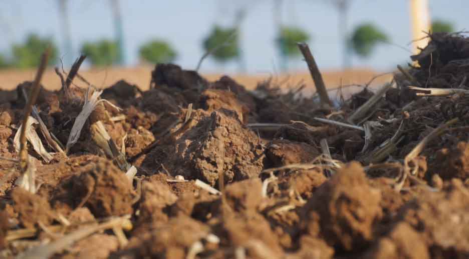 soil samples after different treatments