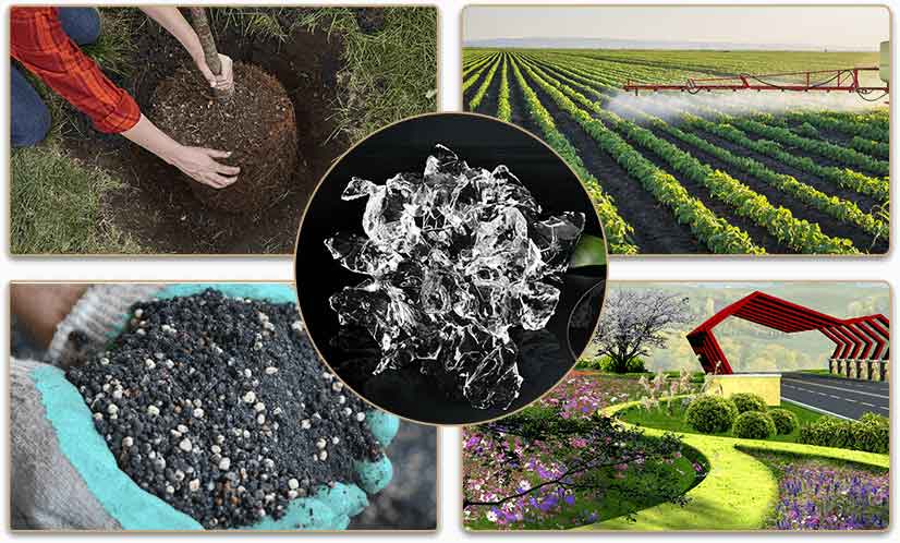 types of agriculture SAP