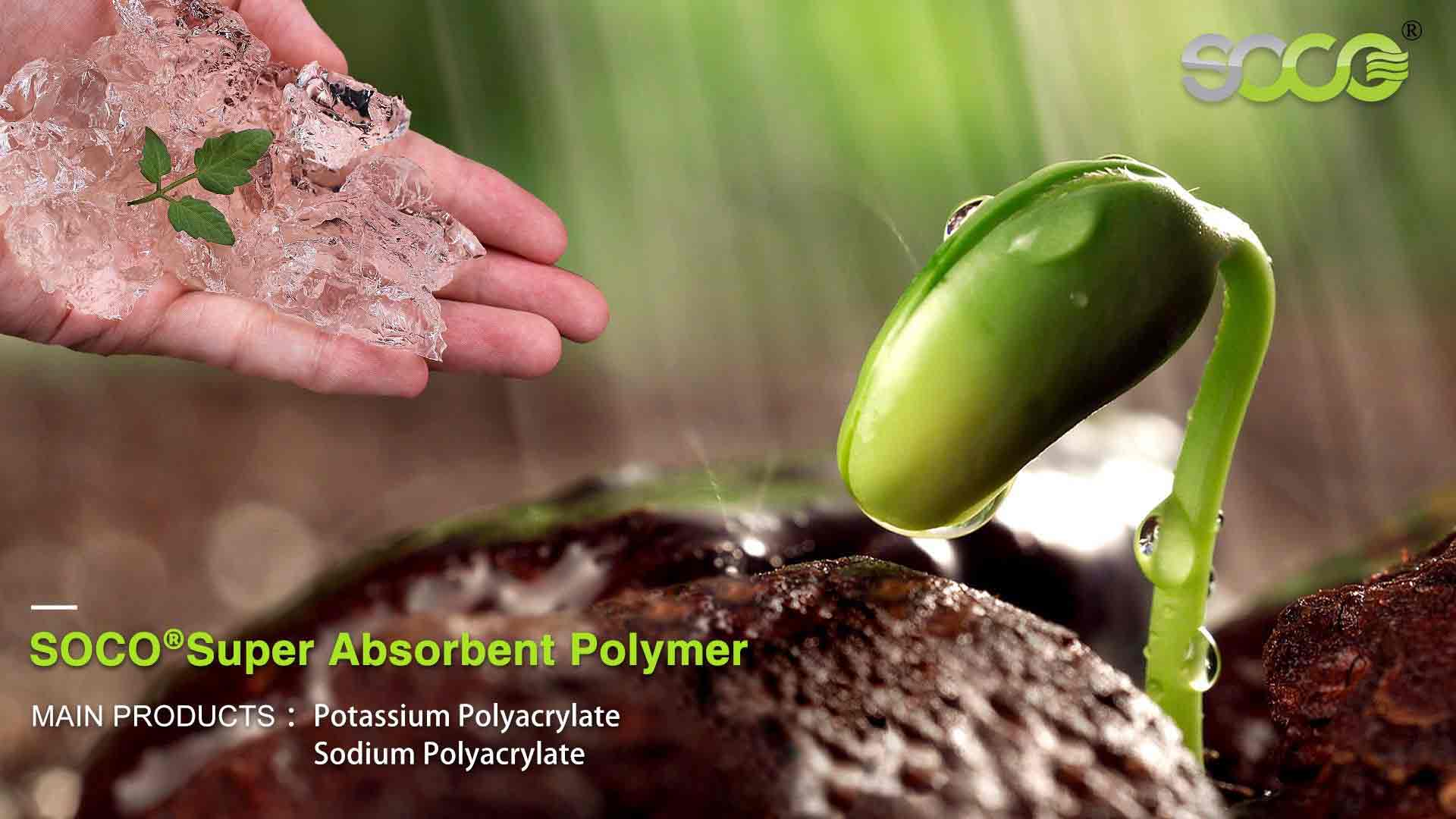 hydrogel application in agriculture