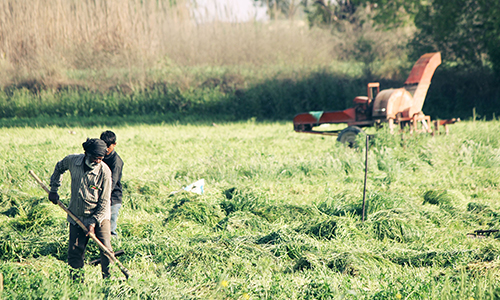 super absorbent polymer used in agriculture