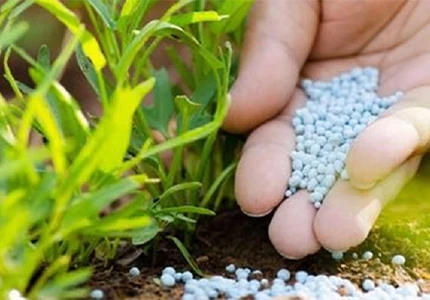 Emerging Trends and Innovations in Agriculture: Super Absorbent Polymer Research and Development