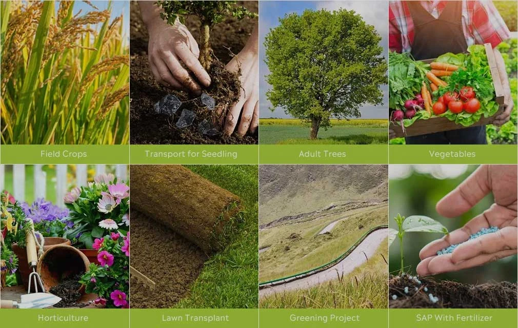 Agriculture SAP