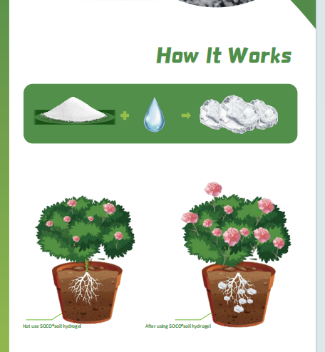 Horticulture1.png