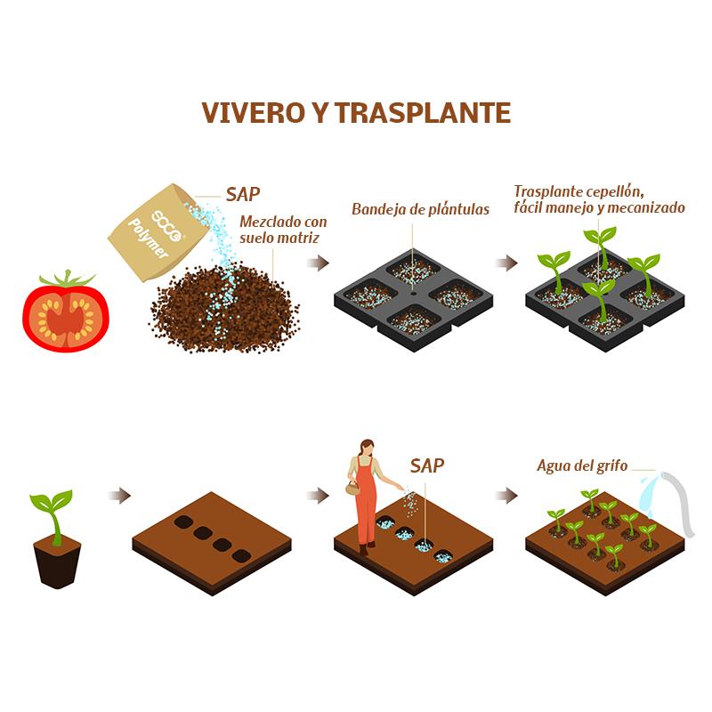 Water Retention Agent Special for Seedling Tranplanting