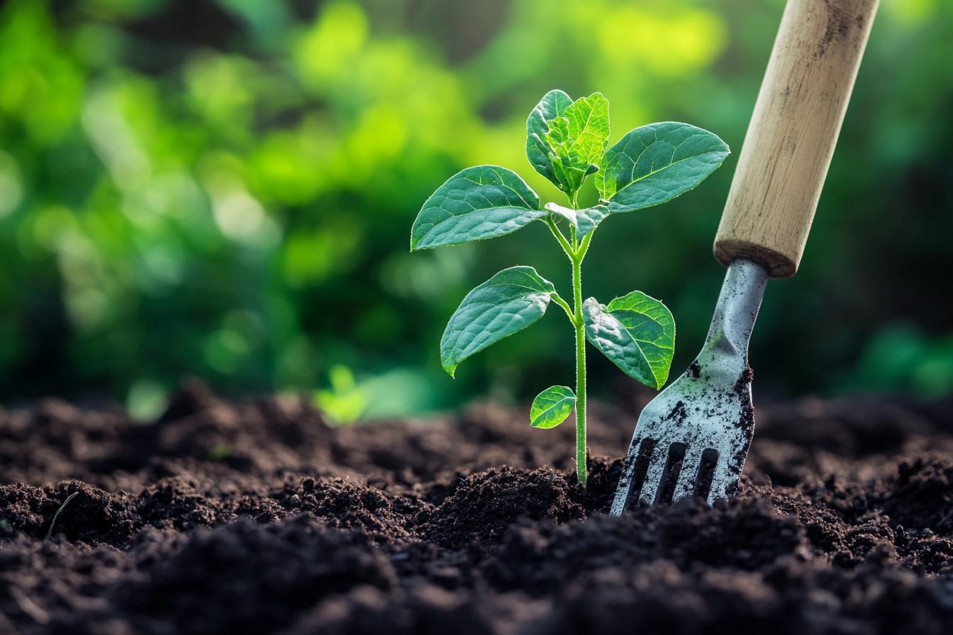 Water Retention Agent Special for Seedling Tranplanting