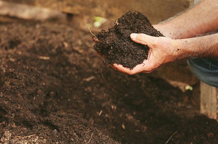 Effects of different soil qualities on crop growth