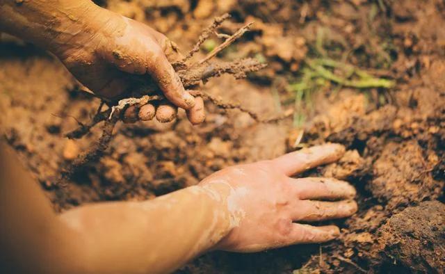 Why Is Soil Improvement So Important