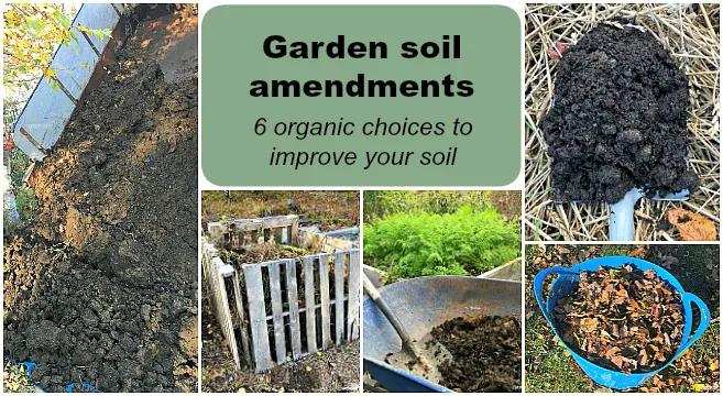 6 organic choices to improve your soil