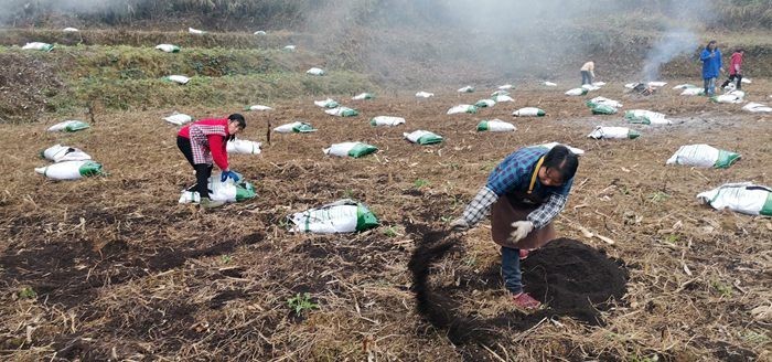 Choosing the Right Soil Improvement Approach
