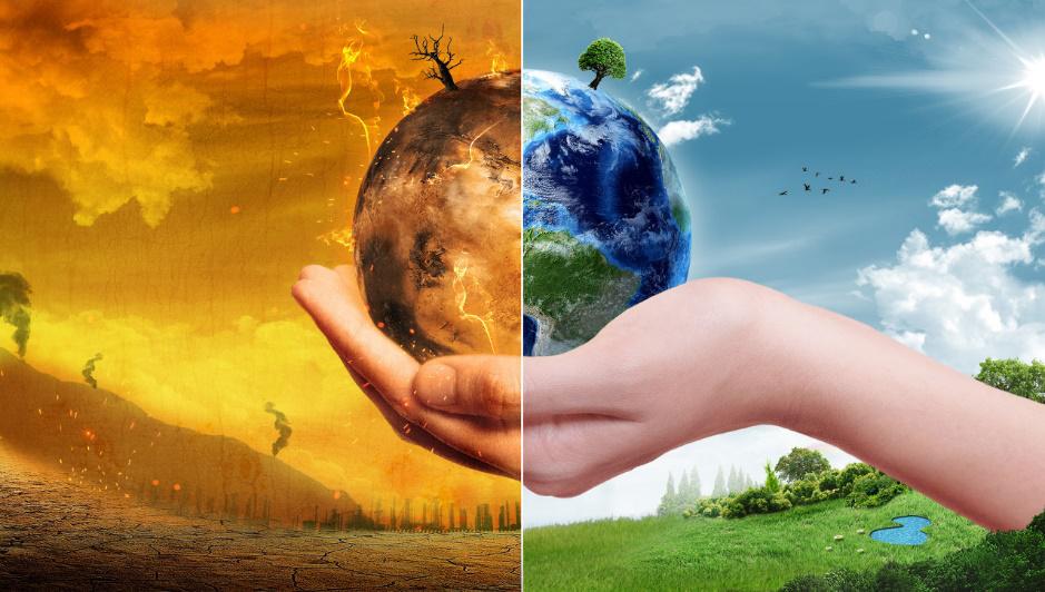 Water Scarcity in Organic Agriculture