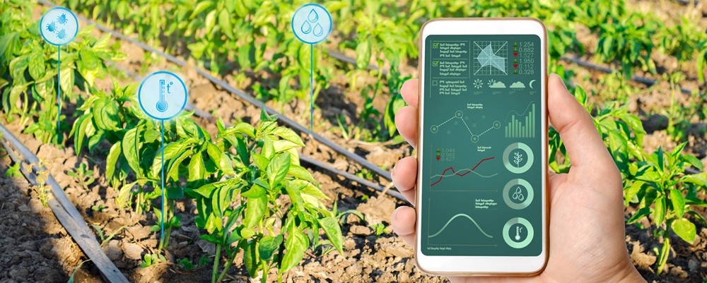 Key Methods for Effective Water Conservation