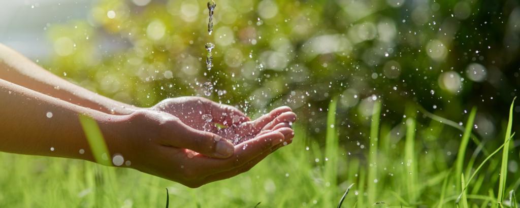 Advantages of Water Conservation in Organic Farming