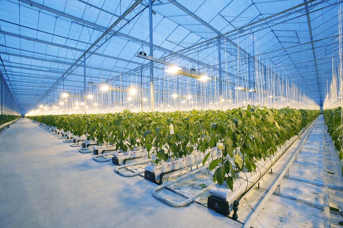 Efficient Irrigation in the Netherlands