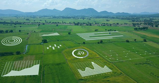 Future Trends and Challenges in Precision Agriculture