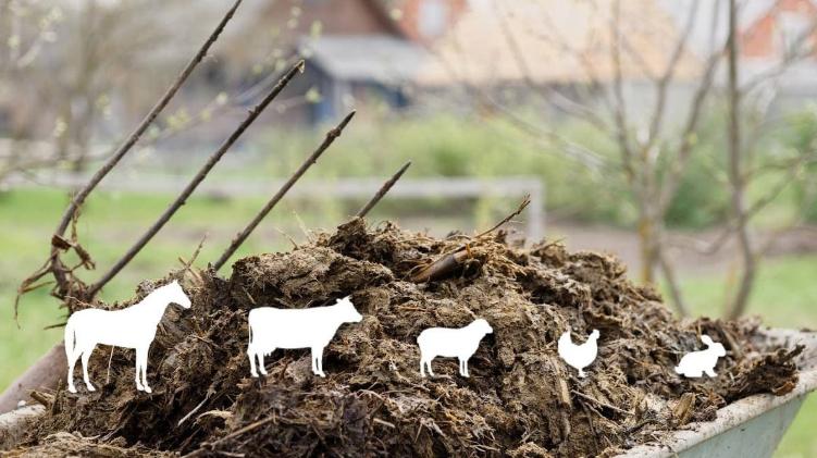converting agricultural waste into compost and organic fertilizers
