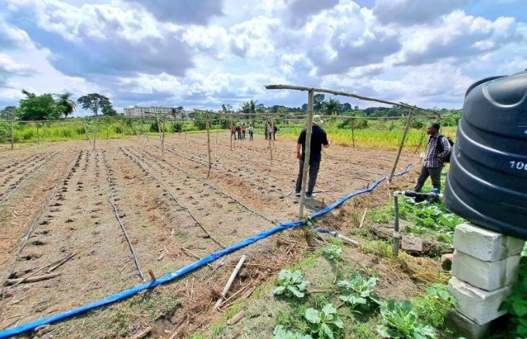 Water-Efficient Irrigation Systems