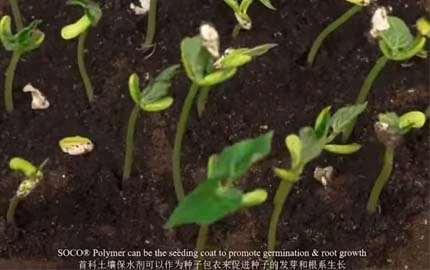 Super absorbent polymer used in agriculture